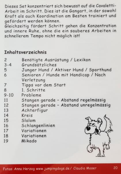 Trainingskarten Körperkontrolle Cavaletti-Training